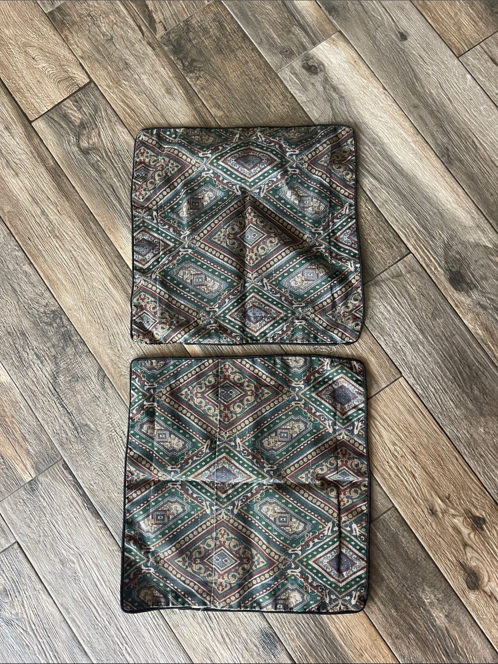 Two Matching Pillow Cases